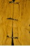Gilet renard jaune moutarde sans manche