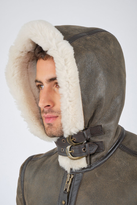 LC1259H Brown