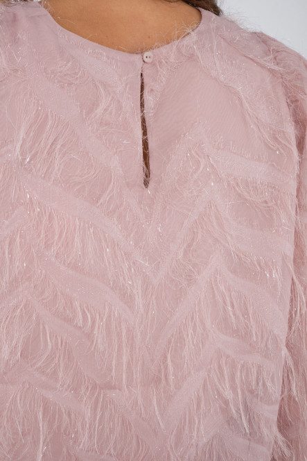 2s2842-11752C9 Rose