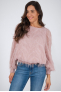 2s2842-11752C9 Rose