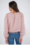 2s2842-11752C9 Rose