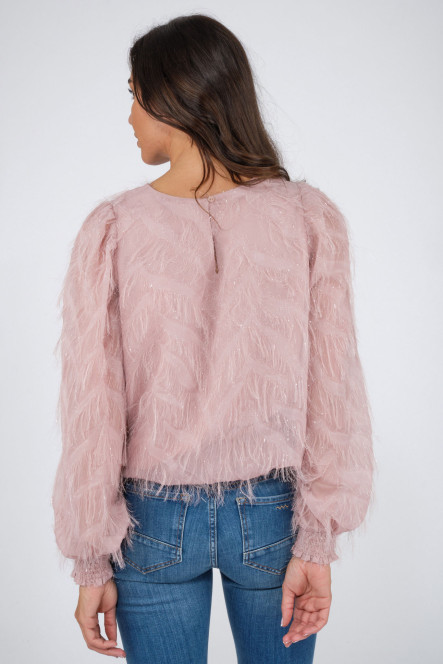 2s2842-11752C9 Rose
