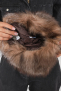 CHAPKA USHANKA Blanc Crystal