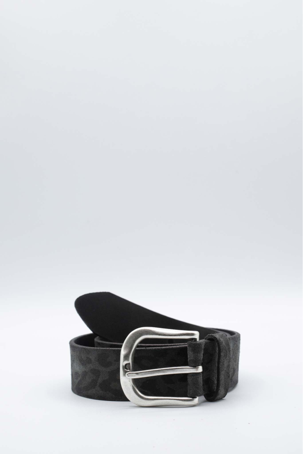 V5454A6725 Panthere noir