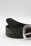 V5454A6725 Panthere noir