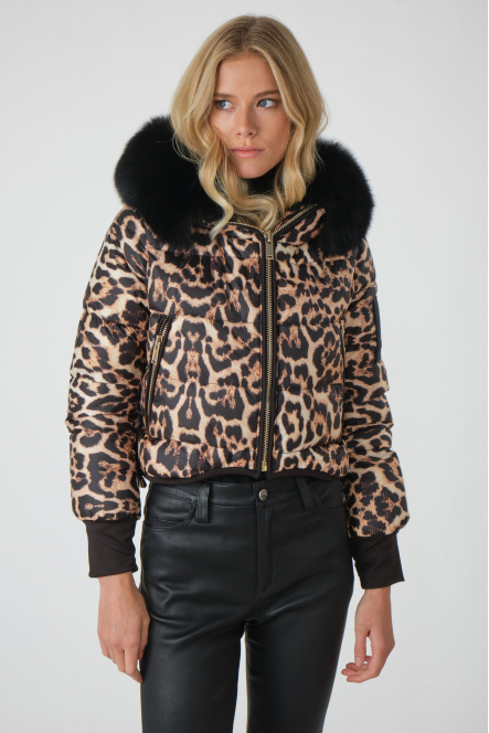 POP ART Leopard