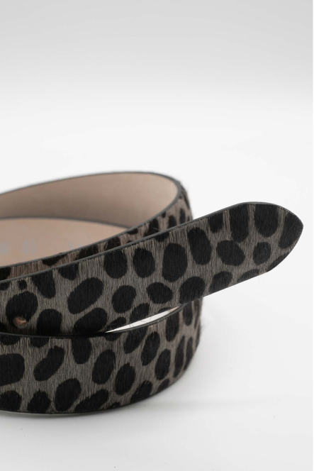 V5245R2825 Gris/Noir