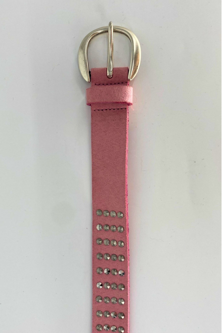 V5970A6309 Rose bégonia