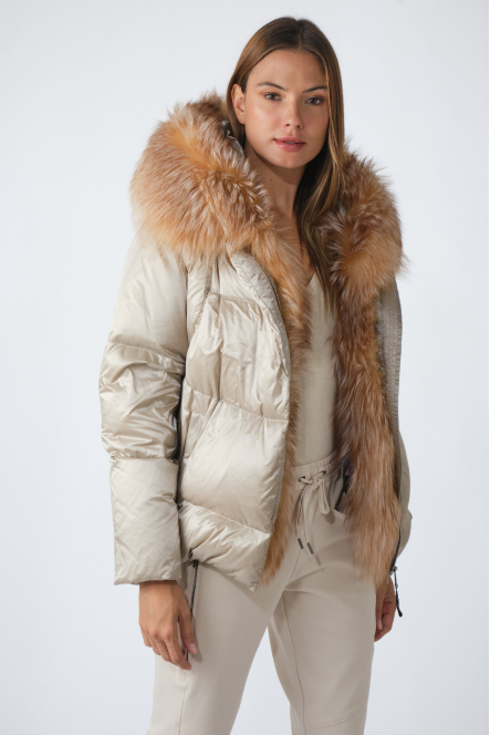 DLP255F Beige 22