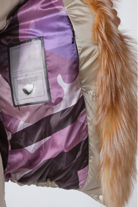 DLP255F Beige 22