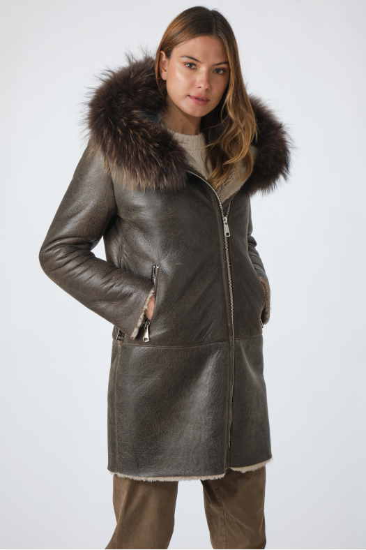 ABELLA/85 Old dark brown