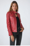 copy of STEFY icon BIKER New Gold