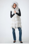 1619 Fawn Light