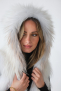 1619 Fawn Light