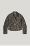 1s1228-12020 Leopard