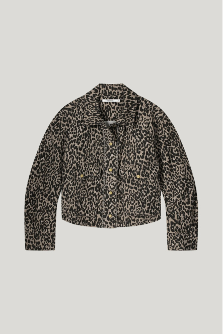 1s1228-12020 Leopard