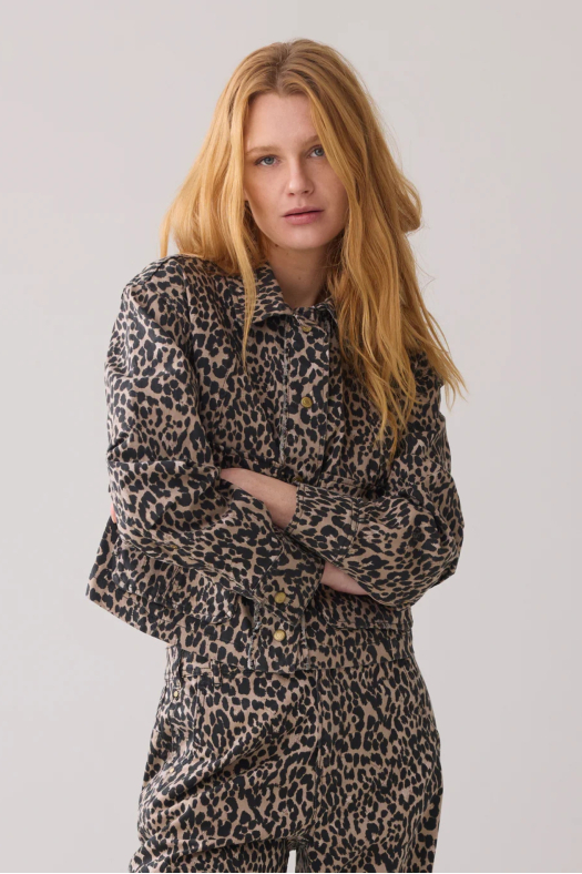 1s1228-12020 Leopard