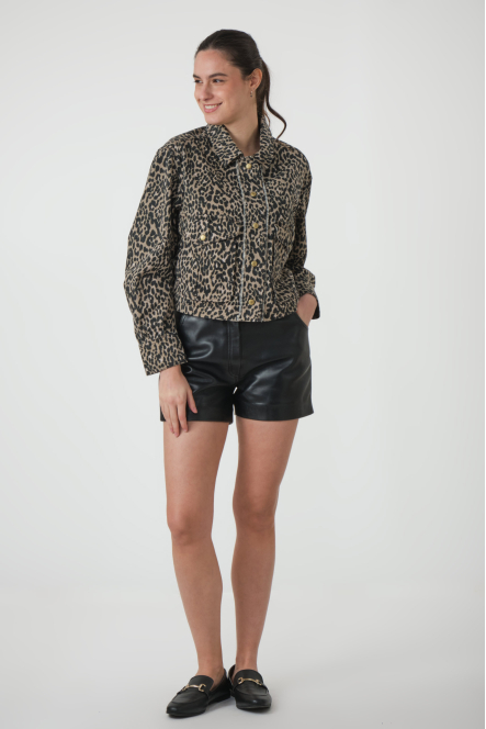 1s1228-12020 Leopard