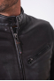 CARDINAL ALPHA Dark Brown